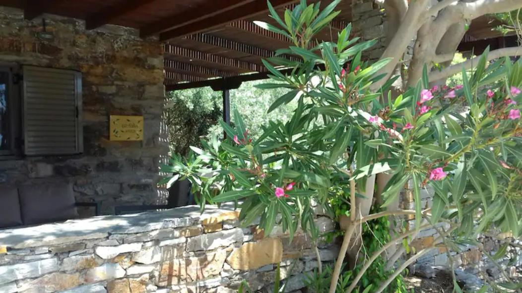 Elea Koundouros Villa Exterior foto